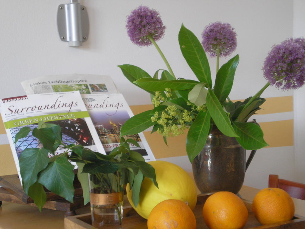 Ginkgo Hotel Oberursel Εξωτερικό φωτογραφία
